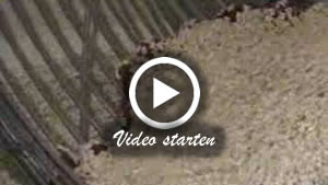 Die richtige Katzentoilette finden: Katzenklo und Katzenstreu