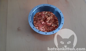 BARF-Futter für Katzen