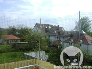 Ein Katzennetz am Balkon ist sehr wichtig